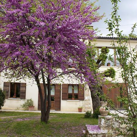 B&B Alte Paderno del Grappa エクステリア 写真