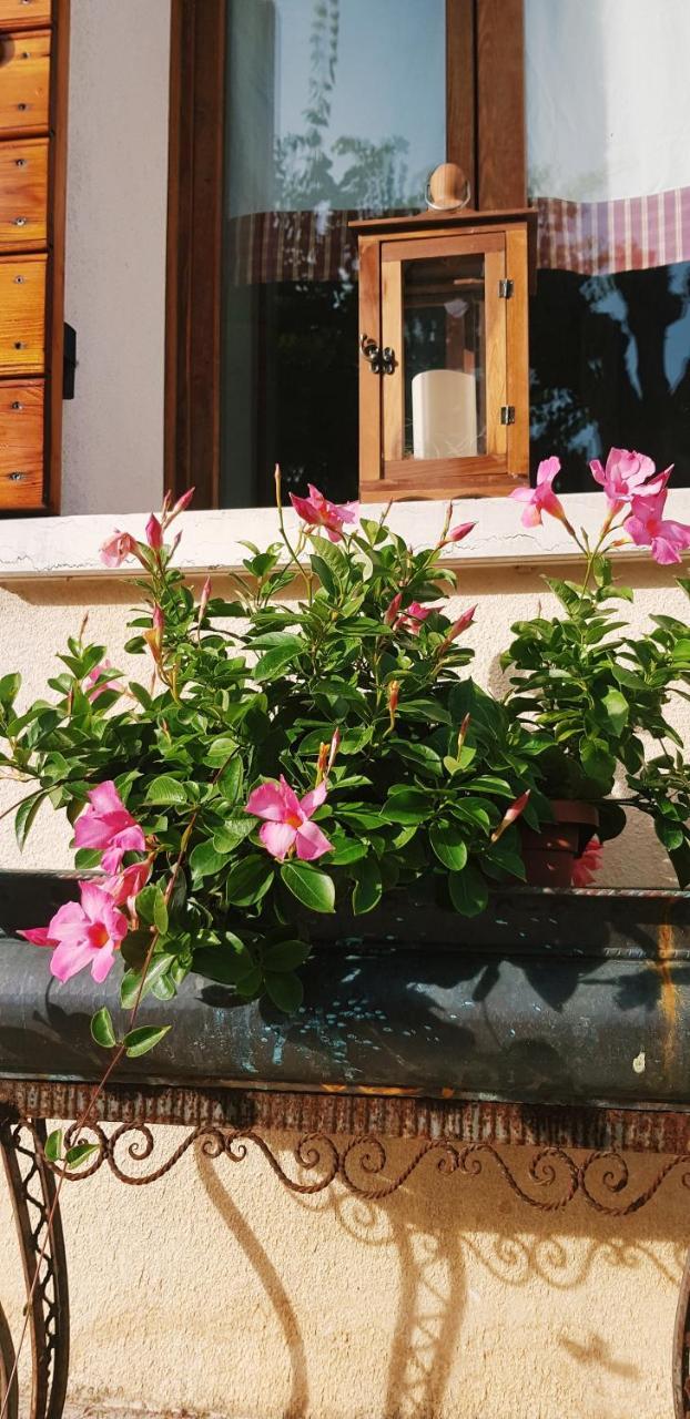 B&B Alte Paderno del Grappa エクステリア 写真